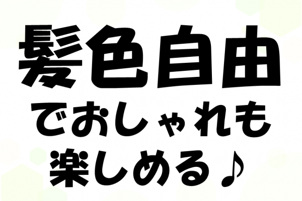 生地をセットしてボタンを押すだけ！ イメージ